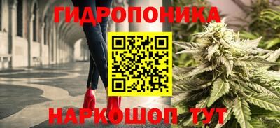 твердый Новозыбков