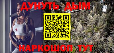 прущие крисы Новодвинск