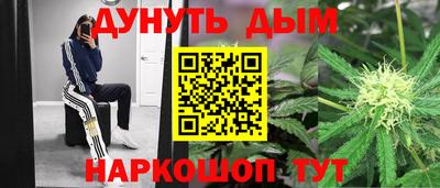 прущие крисы Новодвинск