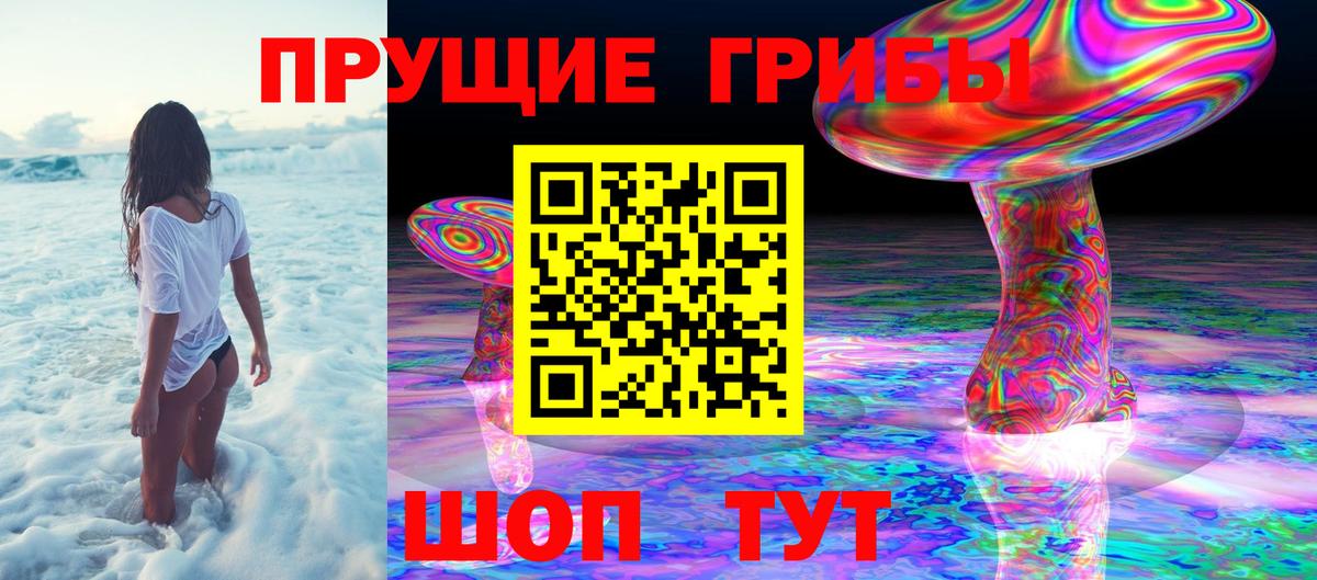дарнет шоп  Галлюциногенные грибы Psilocybe  Вход с VPN  Сосновый Бор 