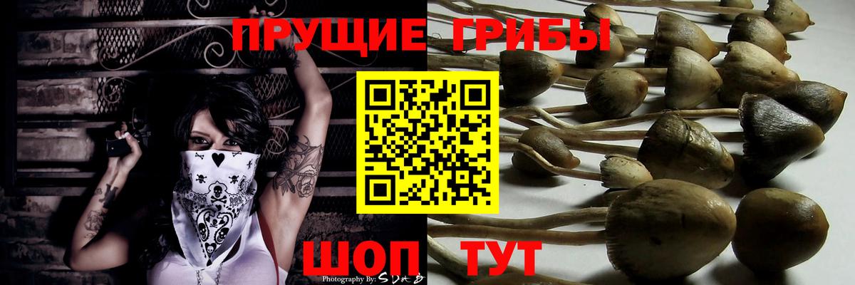 Псилоцибиновые грибы MAGIC MUSHROOMS Сосновый Бор